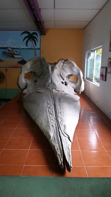 Museo Marino Comunitario